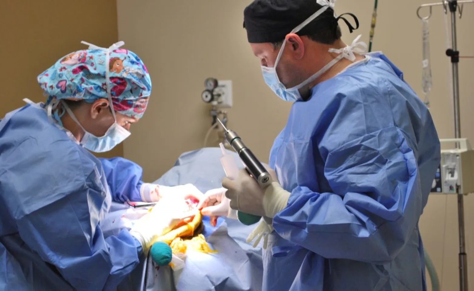 2 veterinary staff members performing surgery on dog 
